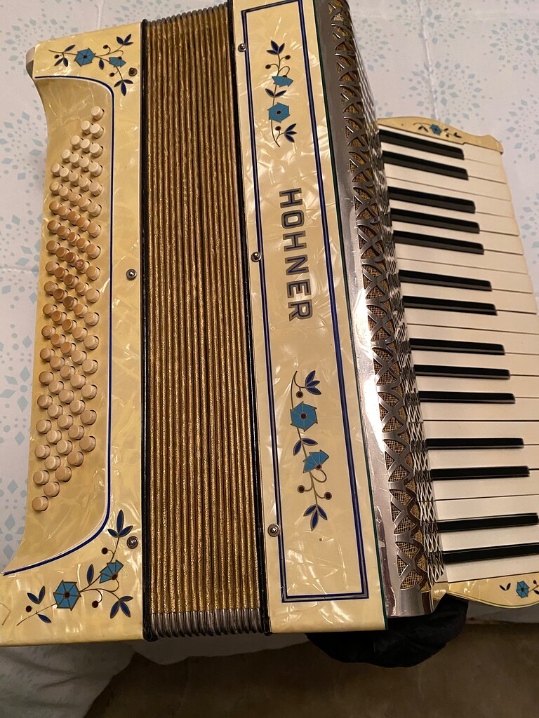 Age/model Of Old Hohner - Model Determination - HOHNER - Enjoy Music