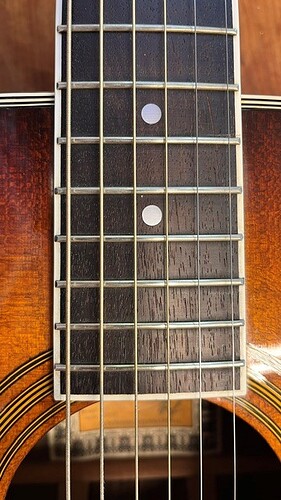 Gitarrengriffbrett_LW1100